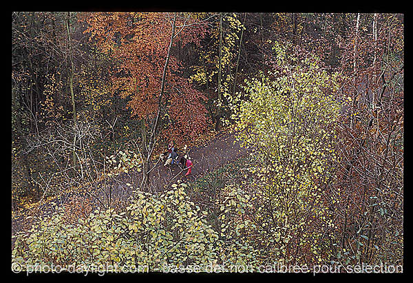 Promeneurs dans les bois - wallkers in wood